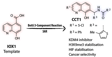 Graphical abstract: Betti reaction enables efficient synthesis of 8-hydroxyquinoline inhibitors of 2-oxoglutarate oxygenases