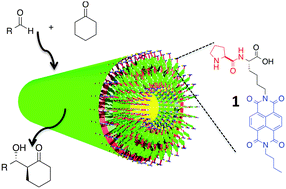 Graphical abstract: A self-assembled nanotube for the direct aldol reaction in water