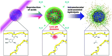 Graphical abstract: Light-triggered chemical amplification to accelerate degradation and release from polymeric particles