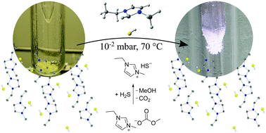 Graphical abstract: Access to pure and highly volatile hydrochalcogenide ionic liquids