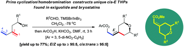 Graphical abstract: TMSBr/InBr3-promoted Prins cyclization/homobromination of dienyl alcohol with aldehyde to construct cis-THP containing an exocyclic E-alkene