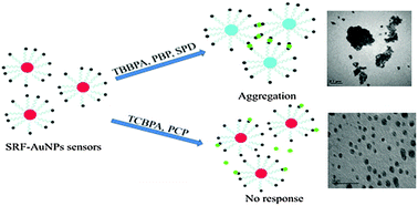 Graphical abstract: Investigation of the interaction modes between nonpolar organic pollutants with ionizable functional groups and natural organic matter via AuNP-based colorimetric assays