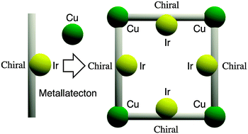 Graphical abstract: Molecular tectonics: heterometallic (Ir,Cu) grid-type coordination networks based on cyclometallated Ir(iii) chiral metallatectons