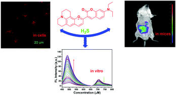 Graphical abstract: A fluorescent probe for H2S in vivo with fast response and high sensitivity