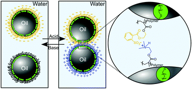 Graphical abstract: Reversible assembly of pH responsive branched copolymer-stabilised emulsion via electrostatic forces