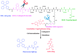 Graphical abstract: The rational design of a gemcitabine prodrug with AIE-based intracellular light-up characteristics for selective suppression of pancreatic cancer cells