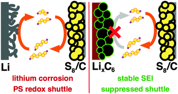 Graphical abstract: A stable graphite negative electrode for the lithium–sulfur battery