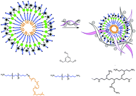 Graphical abstract: DyNAvectors: dynamic constitutional vectors for adaptive DNA transfection