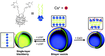 Graphical abstract: Temperature- and salt-responsive polyoxometalate–poly(N-isopropylacrylamide) hybrid macromolecules in aqueous solution