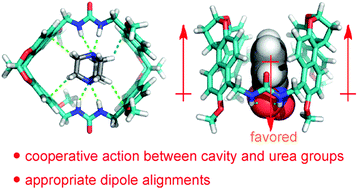 Graphical abstract: Bis-urea macrocycles with a deep cavity