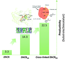 Graphical abstract: Identification of key residues in Debaryomyces hansenii carbonyl reductase for highly productive preparation of (S)-aryl halohydrins