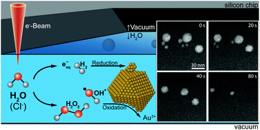 Graphical abstract: Electron beam induced chemistry of gold nanoparticles in saline solution