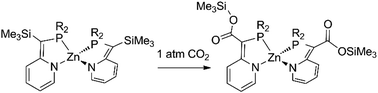 Graphical abstract: Unexpected formal insertion of CO2 into the C–Si bonds of a zinc compound