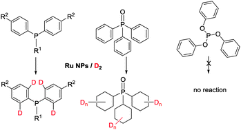 Graphical abstract: Selective catalytic deuteration of phosphorus ligands using ruthenium nanoparticles: a new approach to gain information on ligand coordination