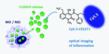 Graphical abstract: Development and evaluation of a non-peptidic ligand for the molecular imaging of inflammatory processes using S100A9 (MRP14) as a novel target