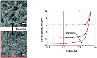 Graphical abstract: The effect of branching in a semiconducting polymer on the efficiency of organic photovoltaic cells