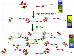 Graphical abstract: A novel supramolecular polymer gel constructed by crosslinking pillar[5]arene-based supramolecular polymers through metal–ligand interactions