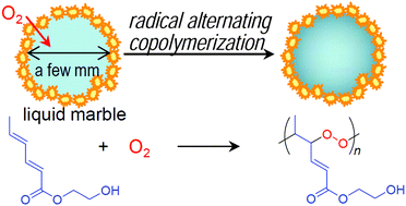 Graphical abstract: Liquid marbles as a micro-reactor for efficient radical alternating copolymerization of diene monomer and oxygen