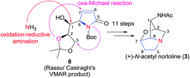 Graphical abstract: The asymmetric total synthesis of (+)-N-acetyl norloline