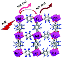 Graphical abstract: A near infrared luminescent metal–organic framework for temperature sensing in the physiological range