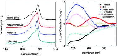 Graphical abstract: DNA aptamer release from the DNA–SWNT hybrid by protein recognition