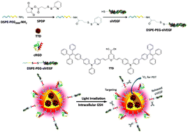 Graphical abstract: Multifunctional organic nanoparticles with aggregation-induced emission (AIE) characteristics for targeted photodynamic therapy and RNA interference therapy