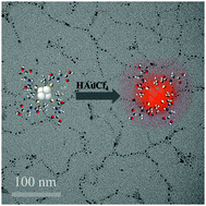 Graphical abstract: Controlling the synthesis and assembly of fluorescent Au/Ag alloy nanoclusters