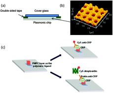 Graphical abstract: A plasmonic chip-based bio/chemical hybrid sensing system for the highly sensitive detection of C-reactive protein