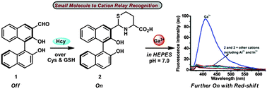 Graphical abstract: A fluorescent probe for relay recognition of homocysteine and Group IIIA ions including Ga(iii)