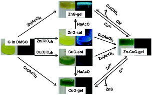 Graphical abstract: Coordination-induced gelation of an l-glutamic acid Schiff base derivative: the anion effect and cyanide-specific selectivity