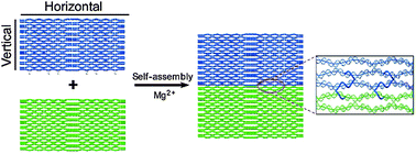 Graphical abstract: Control of DNA origami inter-tile connection with vertical linkers