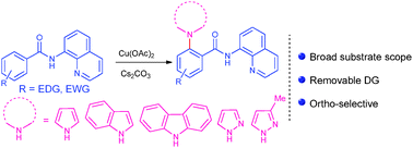 Graphical abstract: Copper(ii)-mediated regioselective N-arylation of pyrroles, indoles, pyrazoles and carbazole via dehydrogenative coupling