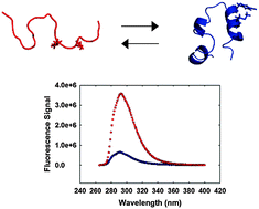 Graphical abstract: Selenomethionine, p-cyanophenylalanine pairs provide a convenient, sensitive, non-perturbing fluorescent probe of local helical structure
