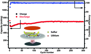 Graphical abstract: A gel-ceramic multi-layer electrolyte for long-life lithium sulfur batteries