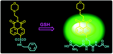 Graphical abstract: Naphthalimide-based fluorescent probe for selectively and specifically detecting glutathione in the lysosomes of living cells