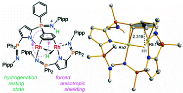 Graphical abstract: Elucidation of the resting state of a rhodium NNN-pincer hydrogenation catalyst that features a remarkably upfield hydride 1H NMR chemical shift