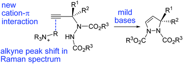 Graphical abstract: Ammonium catalyzed cyclitive additions: evidence for a cation–π interaction with alkynes