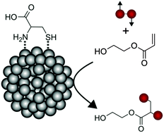 Graphical abstract: Surface ligand-directed pair-wise hydrogenation for heterogeneous phase hyperpolarization