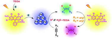 Graphical abstract: Combining visible light catalysis and transfer hydrogenation for in situ efficient and selective semihydrogenation of alkynes under ambient conditions