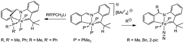 Graphical abstract: Neutral Fe(iv) alkylidenes, including some that bind dinitrogen
