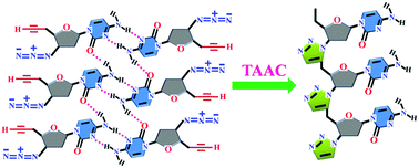 Graphical abstract: The topochemical synthesis of triazole-linked homobasic DNA