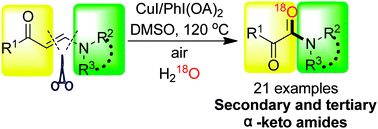 Graphical abstract: Copper-catalyzed, hypervalent iodine mediated C [[double bond, length as m-dash]] C bond activation of enaminones for the synthesis of α-keto amides