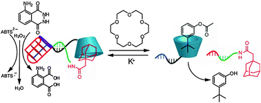 Graphical abstract: Switchable supramolecular catalysis using DNA-templated scaffolds