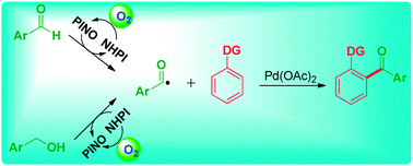 Graphical abstract: NHPI and palladium cocatalyzed aerobic oxidative acylation of arenes through a radical process