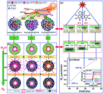 Graphical abstract: Intrinsic magnetic characteristics-dependent charge transfer and visible photo-catalytic H2 evolution reaction (HER) properties of a Fe3O4@PPy@Pt catalyst