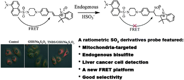 Graphical abstract: A mitochondria-targeted fluorescent probe for ratiometric detection of endogenous sulfur dioxide derivatives in cancer cells