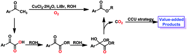 Graphical abstract: Cu(ii)-catalyzed esterification reaction via aerobic oxidative cleavage of C(CO)–C(alkyl) bonds