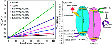 Graphical abstract: A novel p-LaFeO3/n-Ag3PO4 heterojunction photocatalyst for phenol degradation under visible light irradiation