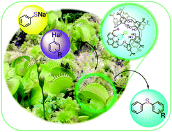 Graphical abstract: Calix[8]arene nanoreactor for Cu(i)-catalysed C–S coupling