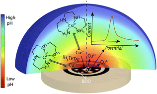 Graphical abstract: Manipulation and measurement of pH sensitive metal–ligand binding using electrochemical proton generation and metal detection